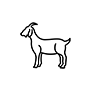 Image is not available